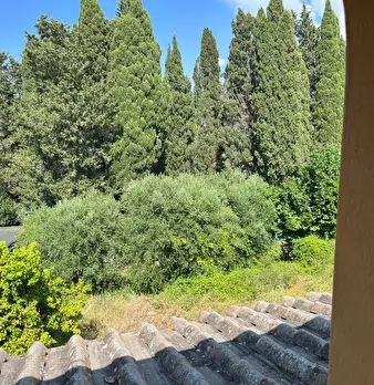 Foto annuncio 6