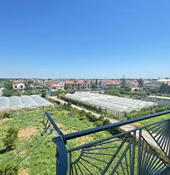 Foto annuncio 10