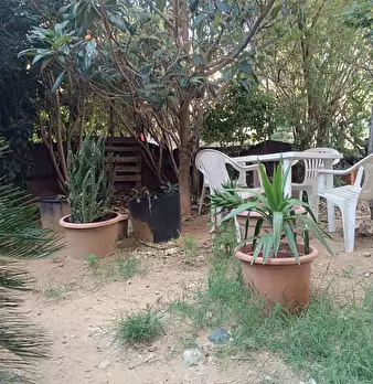 Foto annuncio 13