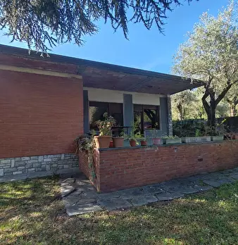 Foto annuncio 24