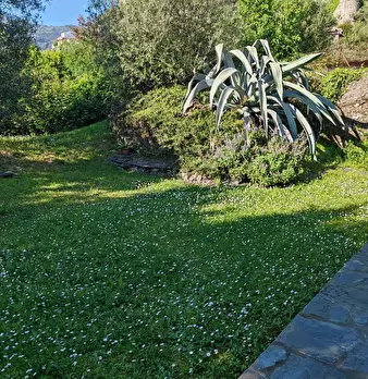 Foto annuncio 37