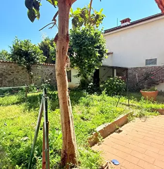 Foto annuncio 5