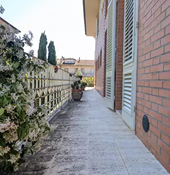 Foto annuncio 10