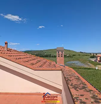 Foto annuncio 32