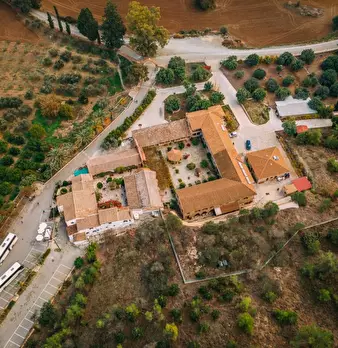 Foto annuncio 6