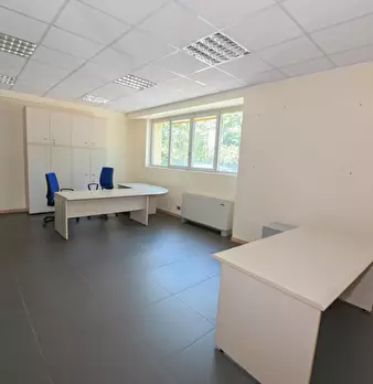 Foto annuncio 50