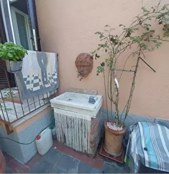 Foto annuncio 4