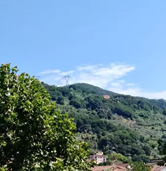 Foto annuncio 27