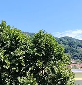 Foto annuncio 28