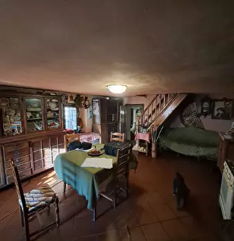 Foto annuncio 5