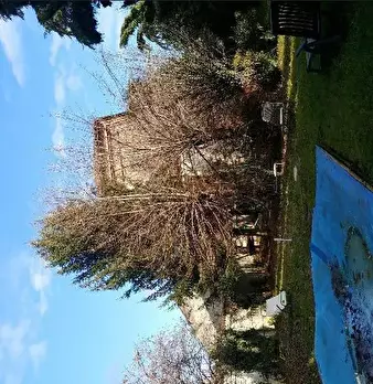 Foto annuncio 7