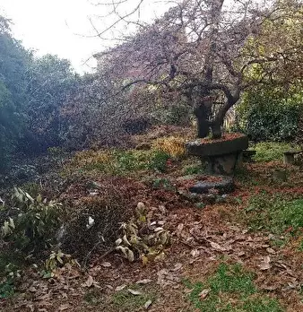 Foto annuncio 8