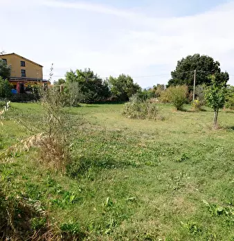 Foto annuncio 50