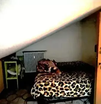 Foto annuncio 4