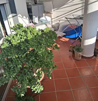 Foto annuncio 38