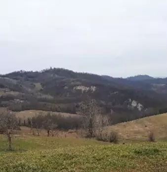 Foto annuncio 3