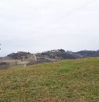 Foto annuncio 4