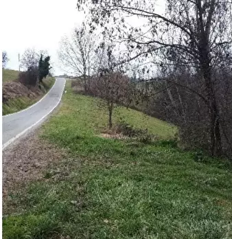 Foto annuncio 2