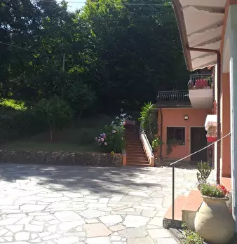 Foto annuncio 28