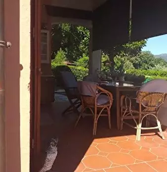 Foto annuncio 22