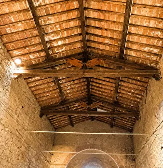 Foto annuncio 6