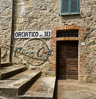 Foto annuncio 17