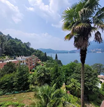 Foto annuncio 81
