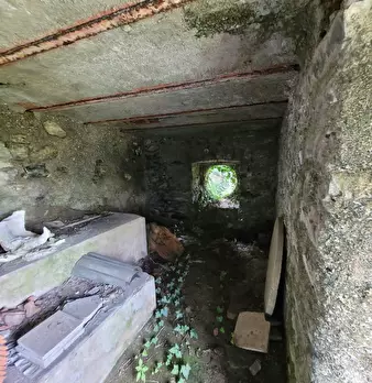 Foto annuncio 30
