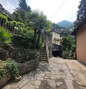 Foto annuncio 65