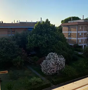 Foto annuncio 39
