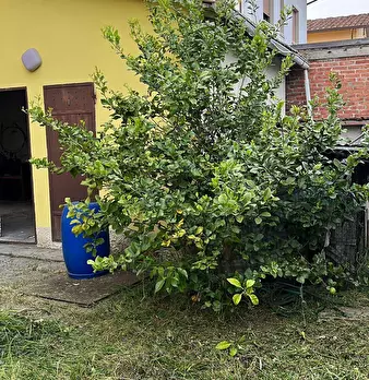 Foto annuncio 8