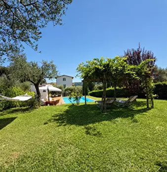 Foto annuncio 47