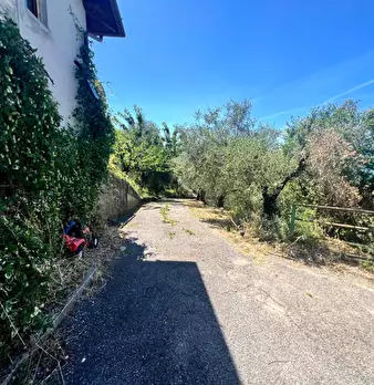Foto annuncio 3