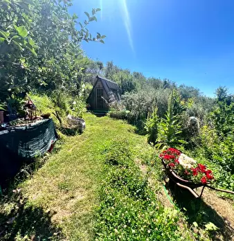 Foto annuncio 28