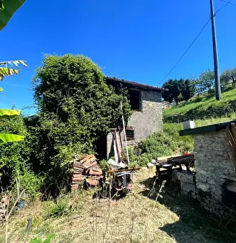 Foto annuncio 24