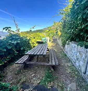 Foto annuncio 25