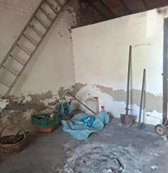 Foto annuncio 21
