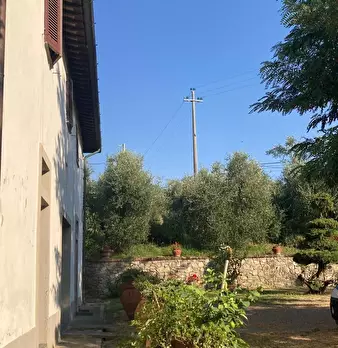 Foto annuncio 5
