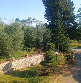 Foto annuncio 9