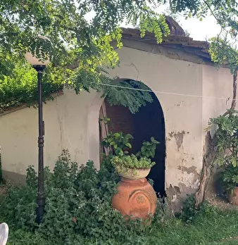 Foto annuncio 3