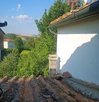 Foto annuncio 8