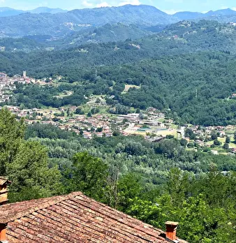 Foto annuncio 24