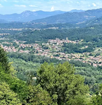 Foto annuncio 29