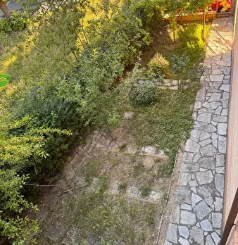 Foto annuncio 31