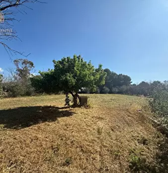 Foto annuncio 4