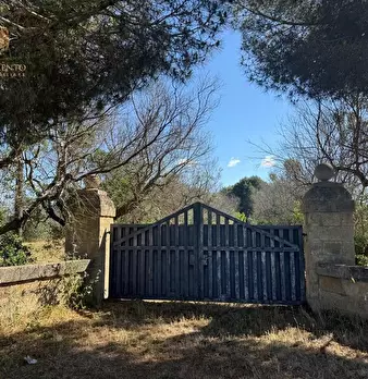 Foto annuncio 16