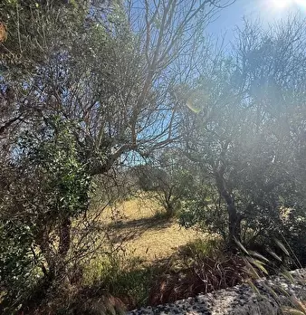 Foto annuncio 19