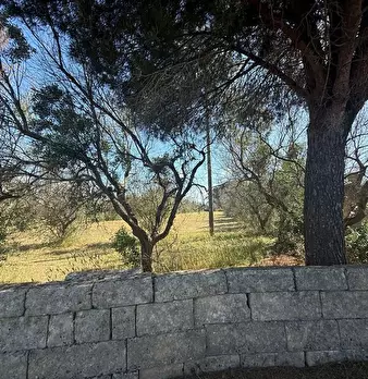 Foto annuncio 23