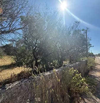 Foto annuncio 20