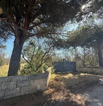 Foto annuncio 22